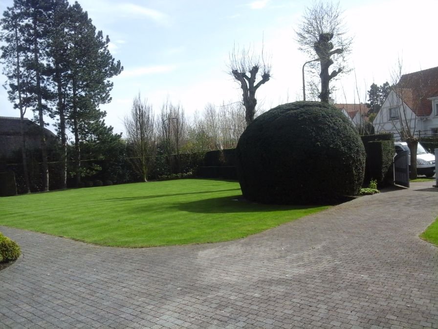 image-2017-01-11 (2)﹖etag=1c92a-587690cf&sourceContentType=imageꤷjpeg&quality=85